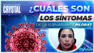 “Pilora” Síntomas y medidas de prevención  Noticias con Crystal Mendivil [upl. by Ainotal]