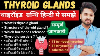 Thyroid gland anatomy amp physiology in Hindi  functions  structure  hormones  parathyroid [upl. by Onimixam]