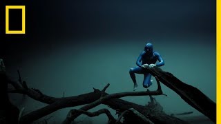 Experience the Underwater World Through the Eyes of a Free Diver  Short Film Showcase [upl. by Rayburn292]