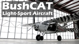 An Easy to Build Bushplane Bushcat Aircraft  Oshkosh 2023 [upl. by Asset59]