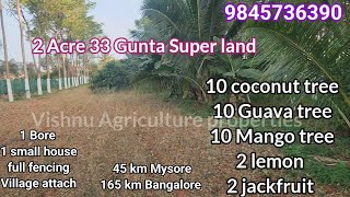 soldout farmland 3 Acre agriculture land for sale 45 km Mysore 165 km Bangalore 800 mtrs NH 766 [upl. by Annatnas]