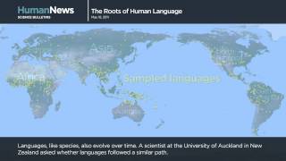 Science Bulletins The Roots of Human Language [upl. by Vinita23]