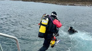 Farne Islands seal diving sea ocean farneislands ukdiving uk wildlife scubadiving bsac [upl. by Adnomal]