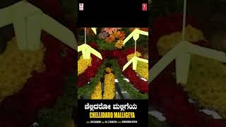 Chellidaro Malligeya  Ayyappa Swamy Short Video  Narasimha Nayak  Ayyappa Swamy Kannada Song [upl. by Ahsilat]