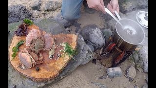 A great day foraging and wild cooking on a Pembrokeshire beach [upl. by Chiles]