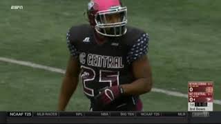 2015 MEAC Football Bethune Cookman Wildcats  North Carolina Central Eagles [upl. by Saenihp]