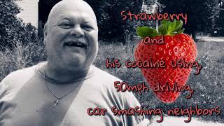 Flint Stories No 9  “The Strawberry Story” [upl. by Madelaine315]