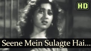 Seene Me Sulagte hai HD  Tarana Songs  Dilip Kumar  Madhubala  Talat Mahmood  Lata [upl. by Mcmillan304]