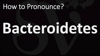 How to Pronounce Bacteroidetes CORRECTLY [upl. by Cocks499]