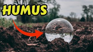 What is Humus ह्यूमस क्या है  naturalfarming humus [upl. by Etterb455]