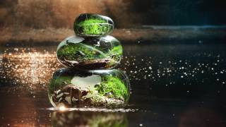 Tranquil Calming Sleep Tones  Anxiety Relief Sleep Relaxation Music Solfeggio 741Hz Calm Energy [upl. by Nerhe844]