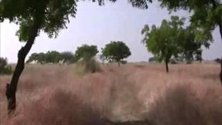 Nannaj Bird Sanctuary of Great Indian Bustard Part 1 by Shirishkumar Patil [upl. by Noteloc]