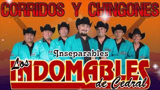 Los Indomables del Cedral Exitos  Puros Corridos Mix [upl. by Ad]