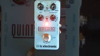 TC Electronic Quintessence [upl. by Mode689]