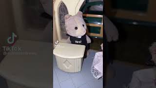 Sylvanian Drama Tiktok  Confession [upl. by Leif]