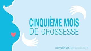 Le Miracle de votre vie  les 9 mois de Grossesse étape par étape en vidéo echographie [upl. by Freemon]