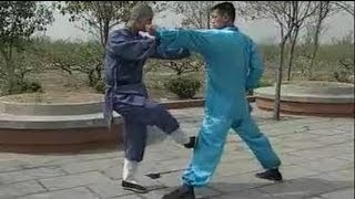 Shaolin Kung Fu 20 fight techniques [upl. by Cappello]