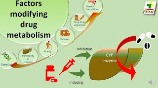 Factors modifying drug metabolism General Pharmacology S28 [upl. by Nnawaj]