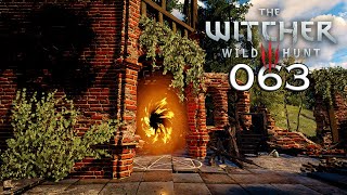 Lets Play THE WITCHER 3 WILD HUNT 63  A Very Cheesy Situation [upl. by Werdma]