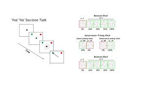 DecisionMaking in the Superior Colliculus [upl. by Aikmat]