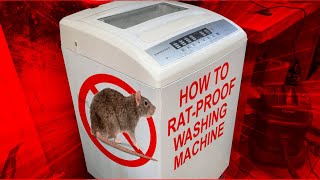 How to Rat Proof Your Washing Machine 🐁 [upl. by Nyssa991]