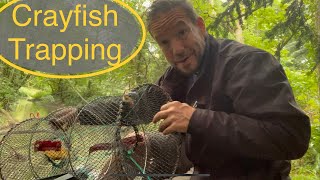 Trapping crayfish Uk how to trap crayfish signal crayfish traps and the law [upl. by Bloom]