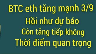 phân tích Bitcoin dogs hôm nay mới nhất 39 crypto coin tăng giá mạnh vì sao [upl. by Lagasse]