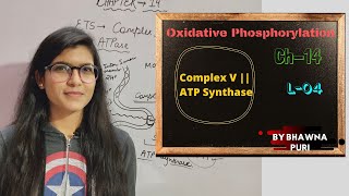 CH14  Oxidative Phosphorylation  Complex V  ATP Synthase  L 04  Biology  Class 11th [upl. by Egide]