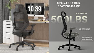 FLEXISPOT OC6 Office Chair  Assembly and First Impressions [upl. by Oilalue]