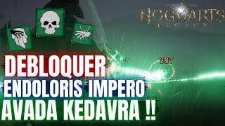 COMMENT DEBLOQUER AVADA KEDAVRA IMPERO amp ENDOLORIS ⚡ GUIDE HOGWARTS LEGACY SORTILEGE IMPARDONABLE [upl. by Shute]