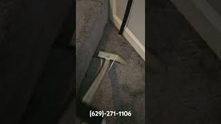 carpetcleaning carpetextraction floorcare nashvillehomes carpetcleaningbusiness [upl. by Dorothy506]