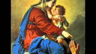 Salve Mater Misericordiae  Catholic Song of Praise to Mary [upl. by Ronel]