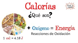 🍔¿Qué son las calorías🔥 Fácil y Rápido  BIOLOGÍA  FÍSICA  QUÍMICA [upl. by Janene]