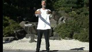 Qigong Ausbildung Hamburg Dr Langhoff [upl. by Yvor743]