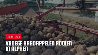 Vroege aardappelen rooien in Alphen [upl. by Ragg]