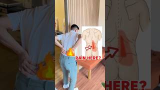 Back Pain Relief Stretch 🤩🤩🤩backpain backpainstretch lowbackpain shortsviral shortsvideo [upl. by Fairleigh]