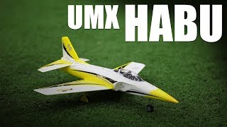 Flite Test  UMX Habu  REVIEW [upl. by Zeba]