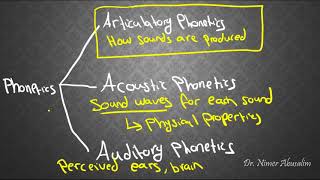 PHONETICS4 Articulatory Phonetics amp Voicing [upl. by Burgener783]