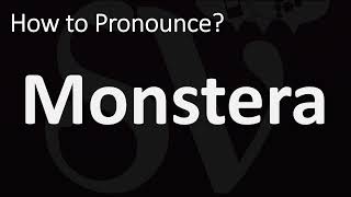 How to Pronounce Monstera CORRECTLY [upl. by Assile]