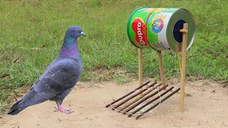 Easy Set Up Pigeon Trap Using Dupro Milk Cans And Woods  Unique DIY Bird Trap [upl. by Masry]