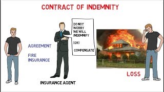 Contract of Indemnity Indian Contract Act 1872 [upl. by Eileek]