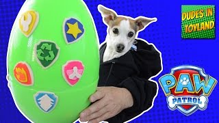 Dog opening PAW PATROL play doh surprise egg with human hands playdough toy youtube videos for kids [upl. by Gnap]