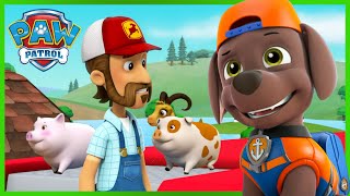 De Pups redden de dieren en de overstroomde boerderij  PAW Patrol Nederlands [upl. by Arrahs996]