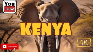 4K Africa Wildlife Safari  Serene Nature amp Calming Music for Relaxation  Explore the Wild Savanna [upl. by Arahsak]