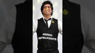 quotPERRO INTELIGENTEquot  MARCOS ONTIVEROS  humor  LA RISA ES SALUD  cordoba  YOUTUBE SHORTS [upl. by Dragoon]