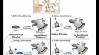 Atferdsanalyse  Operant og respondent betinging [upl. by Shutz]