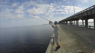 Pigfish and White Trout on Bob Sykes Fishing Pier [upl. by Roddie]