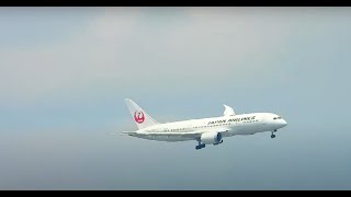 FDA C3PO！半月ドンからの練炭！Plane Spotting LIVE！ Osaka International Airport 06182024 [upl. by Yesdnik]