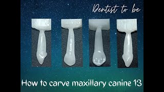 How to carve maxillary canine easily [upl. by Ailaza797]