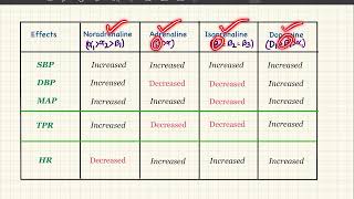 Antibiotic  एंटीबॉयोटिक  Antibiotic Injection  Antibiotic Medicine  Treatment  Medicine  दवाई [upl. by Bibah573]